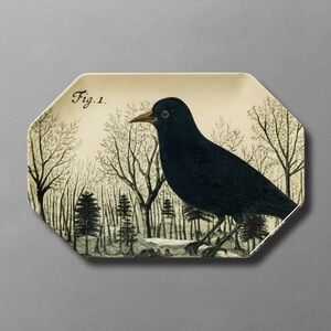 15"x10" Bird Melamine Octagon Serving Platter - John Derian For Target